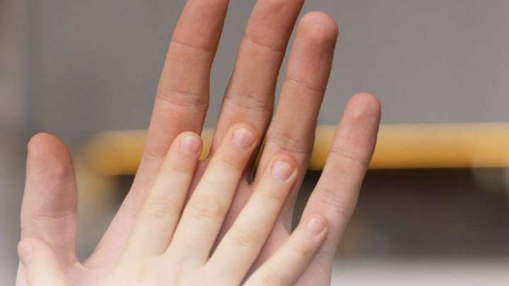 Былтыр мың жарым баланың құқығы қалпына келтірілген