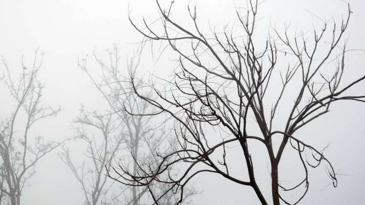 Тұман, көктайғақ... Бүгін ауа райы қалай болады?