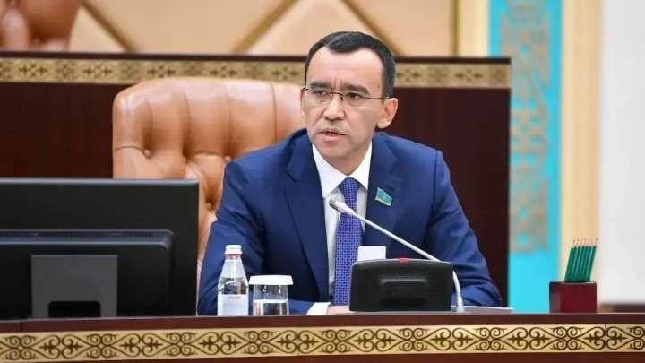 Қазақстанға да бір Илон Маск керек – Мәулен Әшімбаев