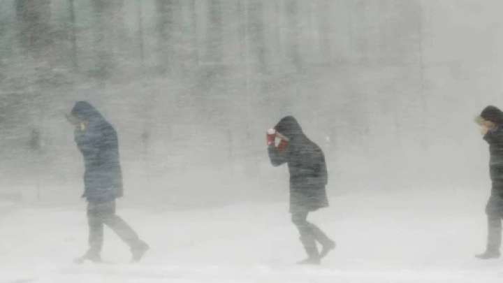 Бұрқасын, көктайғақ. Бүгінге арналған ауарайы болжамы