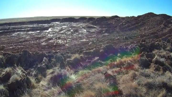 Түркістан облысында егін егетін жердің 32 пайызы сорланып кеткен