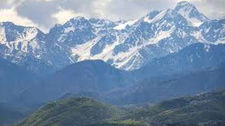 Алатауда төрт бала адасып кеткен