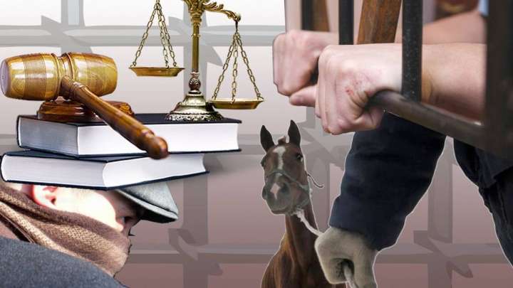 Қылмыстық топ серкесі шетелде ұсталды