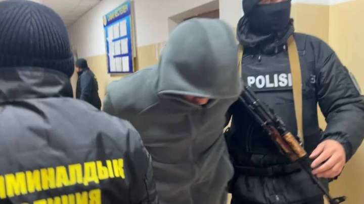 Алматы облысында мал ұрлаумен айналысқан топ ұсталды