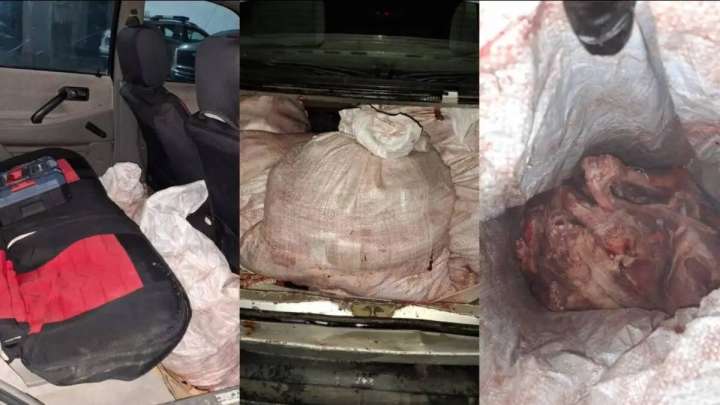 Қызылордада браконьерден 14 қап киік еті тәркіленді