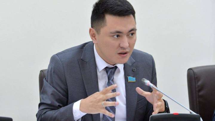 "Декретке миллионмен". Депутат өзін айыптағандарға жауап берді