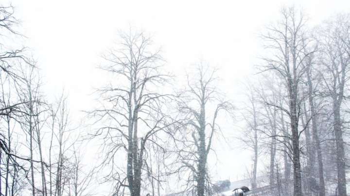 8 наурыздағы ауа райы: жаңбыр, қар және көктайғақ