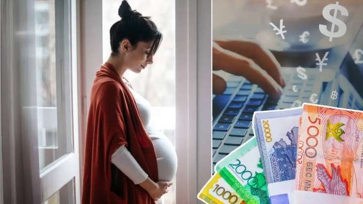 «Миллионмен декретке» курсының авторларына қылмыстық іс қозғала ма?