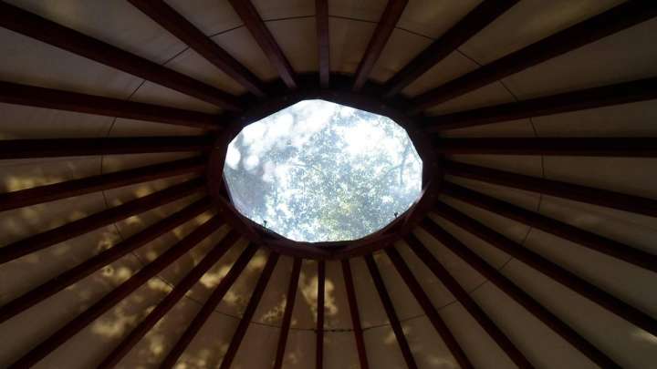 81 миллион теңге: Ақтауда киіз үйге жарияланған тендер тоқтатылды