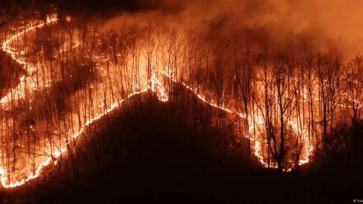 Оңтүстік Кореядағы алапат өрттен 20-дан астам қаза болды