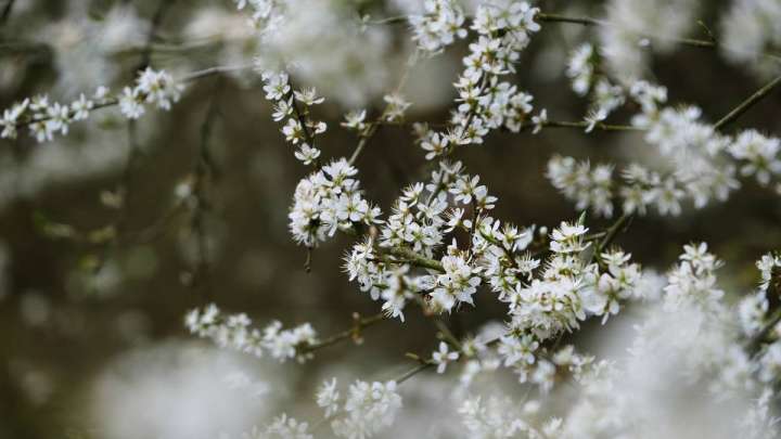 Демалыста ауа райы қандай болады?