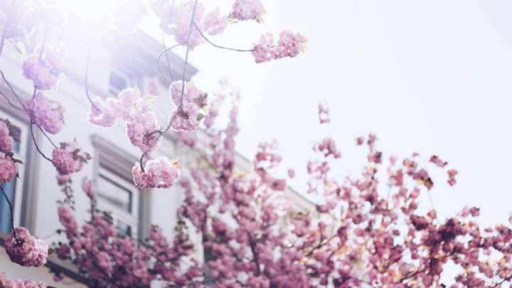 Сәуірдің алғашқы күндері ауа райы қандай болады