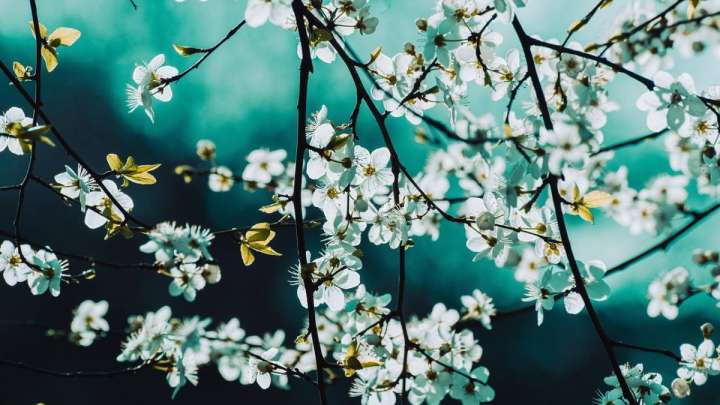 +25 ыстық. Бүгін ауа райы қандай болады?