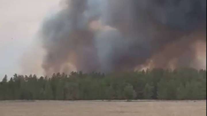 Абай облысындағы «Семей орманы» қайта өртенді