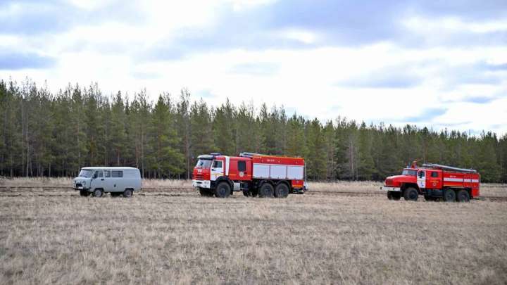 Бесқарағай ауданындағы орман өрті толық сөндірілді
