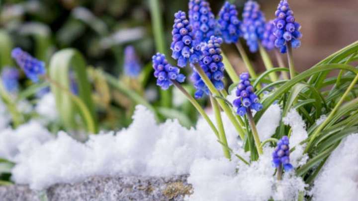 Үсік жүреді: Екі күнге арналған ауа райы болжамы