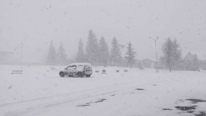 Катонқарағайда қалың қар жауды