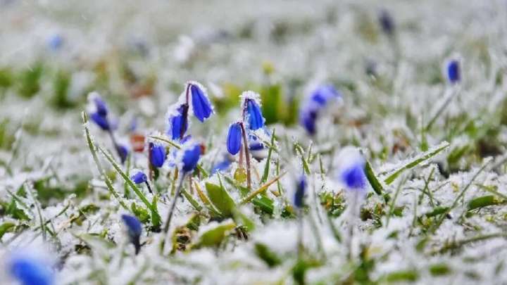 Үсік жүреді: Үш күнге арналған ауа райы болжамы қандай