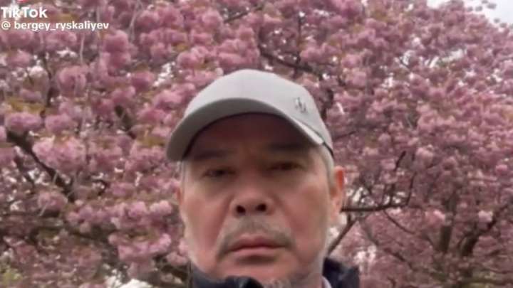 Сакураның фонында. Бергей Рысқалиевтің видеосы тарады