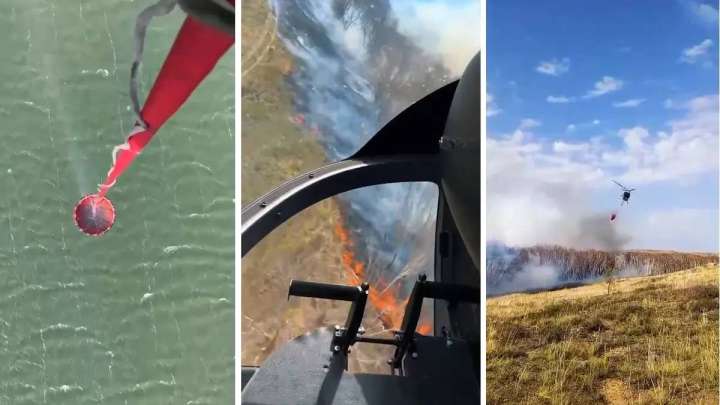 Қарқаралы орманында алапат өрт болды