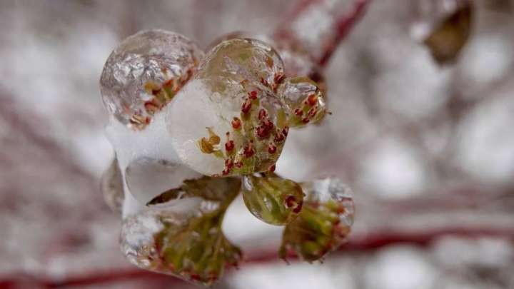 Астана мен бірнеше өңірде дауылды ескерту жарияланды