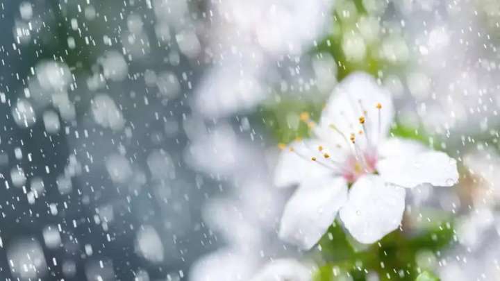 8, 9 және 10 мамырға арналған ауа райы болжамы жарияланды