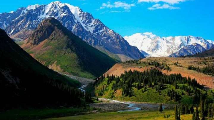 Алматы тауларында студент қыз көз жұмды