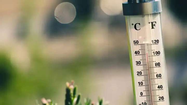 Қазақстанда алдағы күндері 37 градусқа дейін ыстық болады