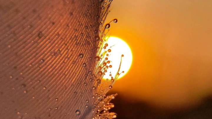 Қазақстанда 43 градус аптап ыстық болады