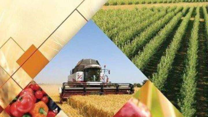 Президент тапсырмасының орындалуы: Ауыл шаруашылығы инновациялық технологияларға негізделеді