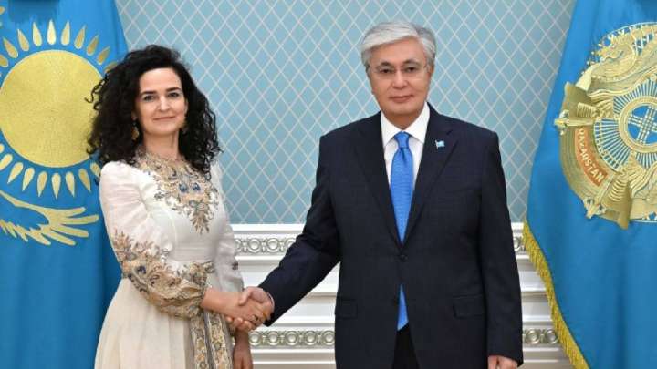 Президент Жасыл климат қорының атқарушы директорын қабылдады