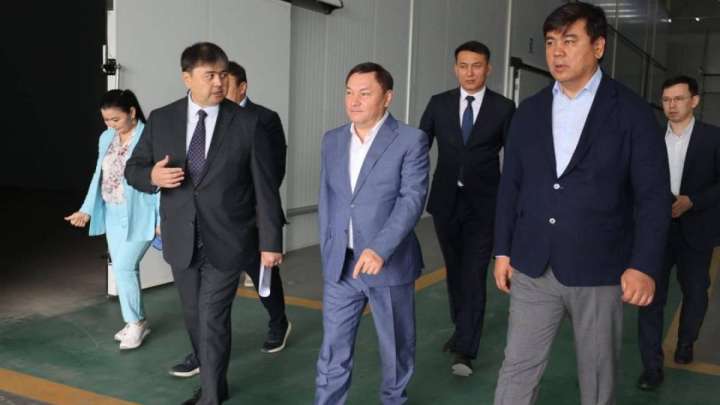 Премьер-министрдің кеңесшісі Түркістан облысының өңірлік инвестициялық жобалармен танысты