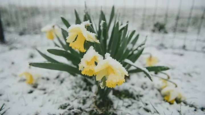 27 мамырда Қазақстанға қар мен нөсер жаңбыр қайта оралады