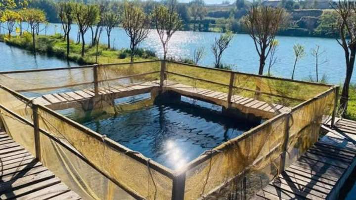 Түркістан облысында балық шаруашылығын дамытуға басымдық беріліп отыр