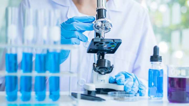 Нобель алу үшін ақша керек. Біздің ғалымдар жобасына 10 млн доллар іздеп жүр