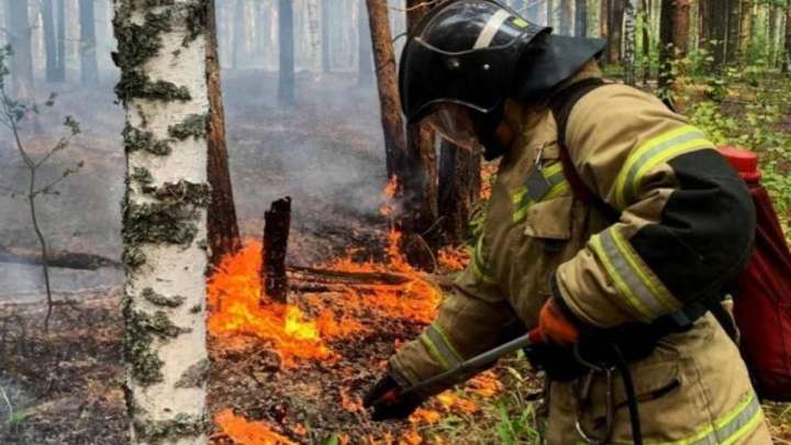 «Өрт қаупі бар». Синоптиктер сақ болуға шақырды