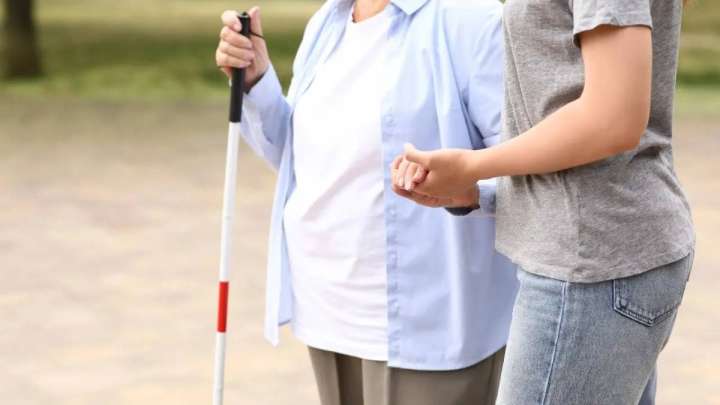 Көзі көрмейтін енесінің атына кредит рәсімдеген жігітке үкім шықты