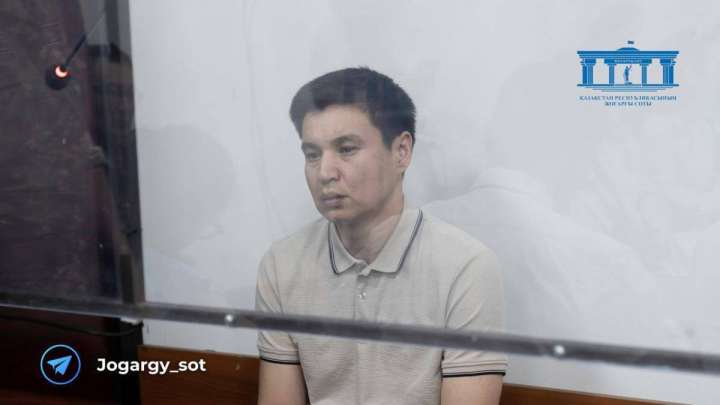 Бишімбаевтың бауыры рақымшылыққа ілігуі мүмкін бе? ІІМ басшысы жауап берді