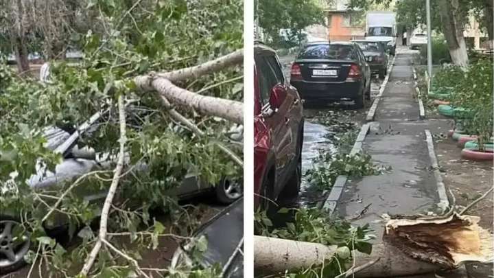 Дауыл кезінде үстіне ағаш құлап, қаза болған әйелдің үш несиесі жабылатын болды