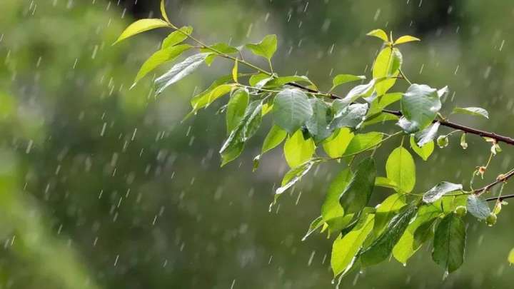 "Жаңбыр, бұршақ, аптап ыстық". 26 маусымға арналған ауа райы болжамы