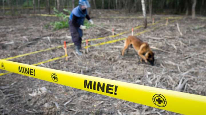 Польша миналарды қолдануға тыйым салатын конвенциядан бас тартпақ