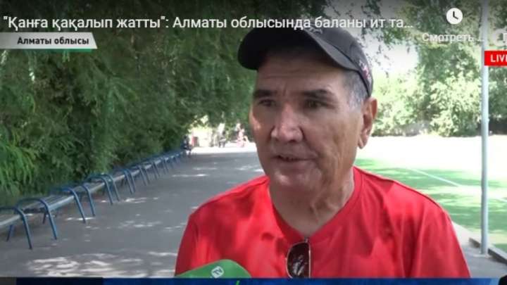 Ит талаған бала. Қымбат иттердің иесі құтқарған адамнан ақша талап етті