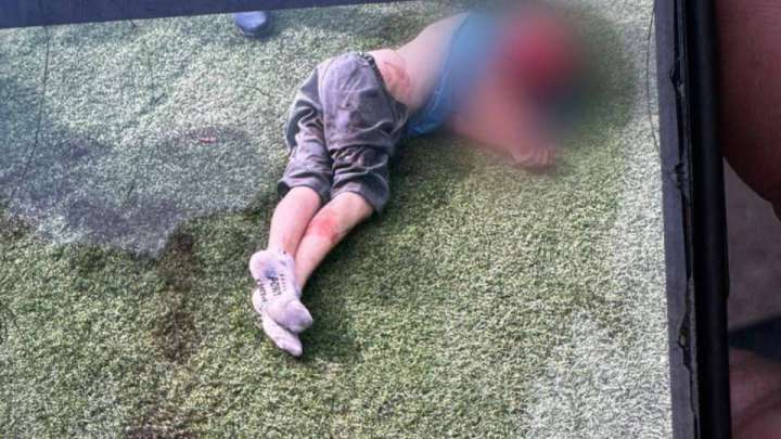 Итке таланған баланың жағдайы белгілі болды