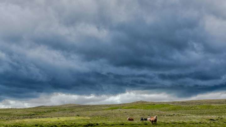 6 шілдеде Қазақстанның басым бөлігінде жаңбыр мен аптап күтіледі