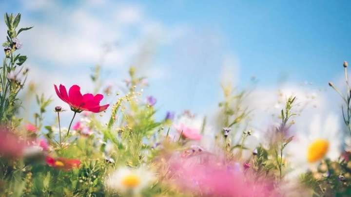 Қазақстанда +42 градусқа дейін ыстық болады