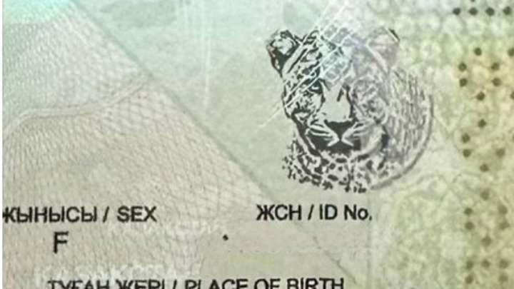 Қазақстан паспортына жаңа элемент қосылды