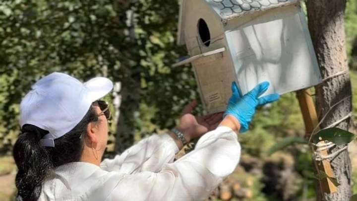 «Таза Қазақстан» бағдарламасы аясында Ұлытау облысында экологиялық іс-шаралар өтті