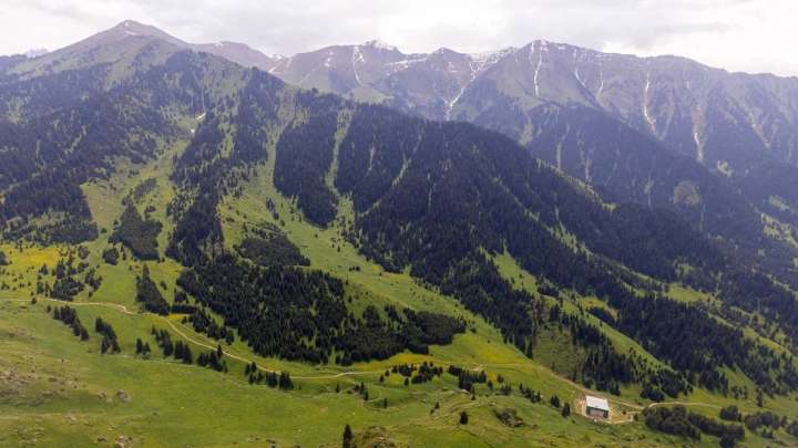 20 жастағы жігіт Алматы тауларында жоғалып кетті