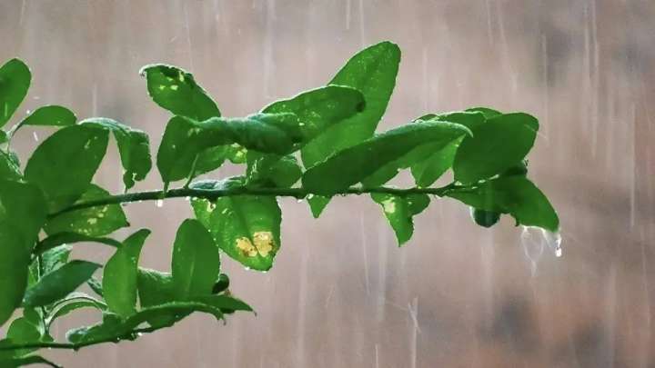 Ауа райына байланысты бірнеше өңірде ескерту жарияланды