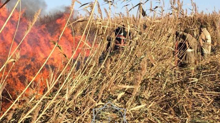 Өрт қаупі бар. 12 тамызға арналған ауа райы болжамы